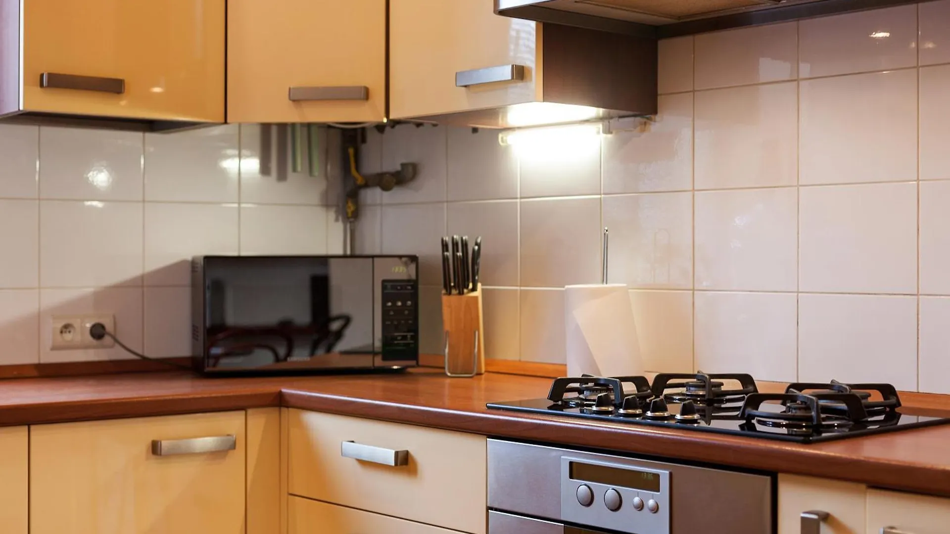 Svobody Ave Apartment Lviv
